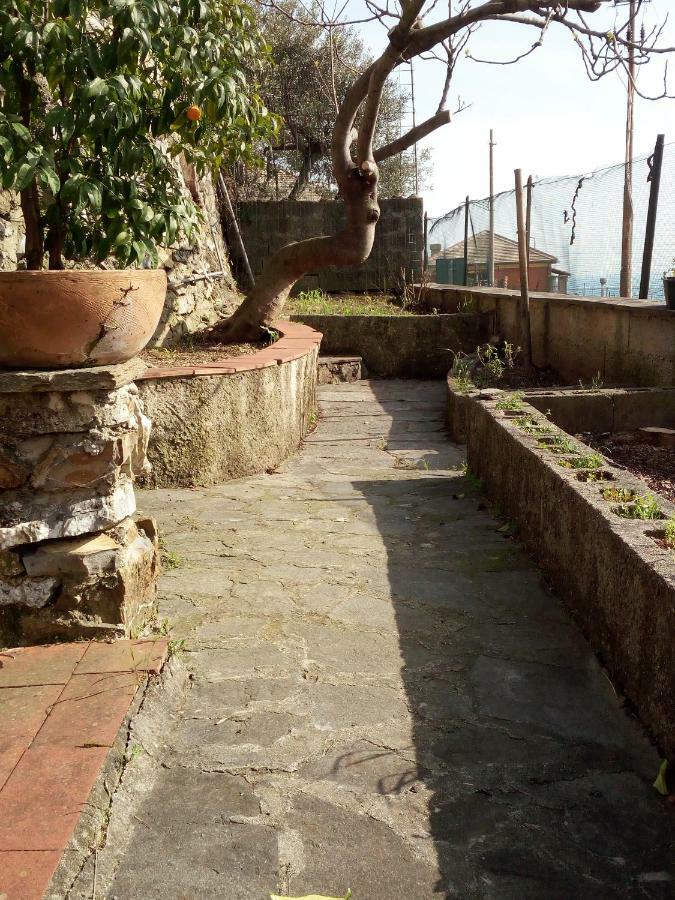 Casa Picasso Apartment Genoa Exterior photo